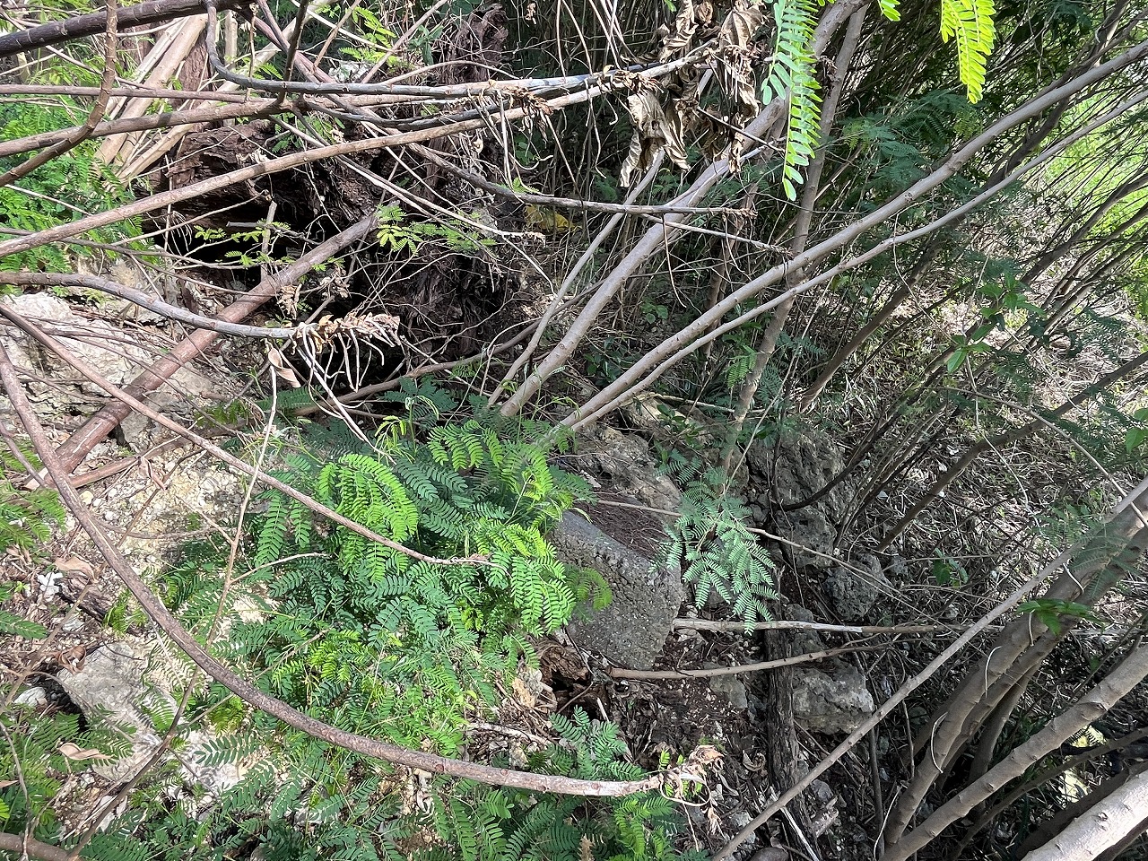 伊良部字国仲　市営伊良部新生団地近く 198坪 畑