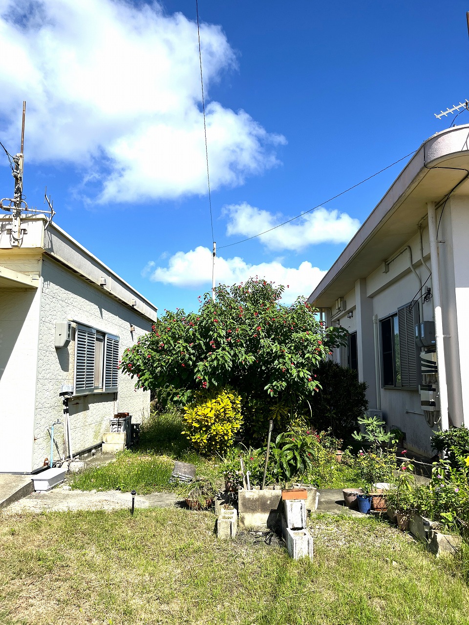 下地与那覇 来間大橋近く　RCB造平屋建/2世帯＋離れ 建物34.5坪 土地300坪