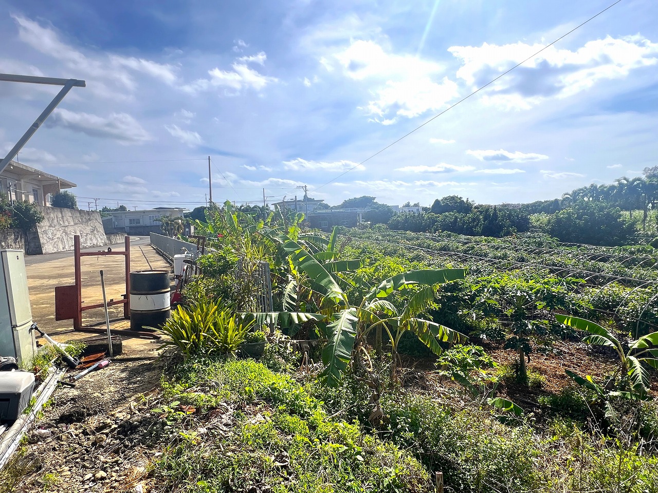 下地川満　川満漁港近く 海が望める 782坪 畑