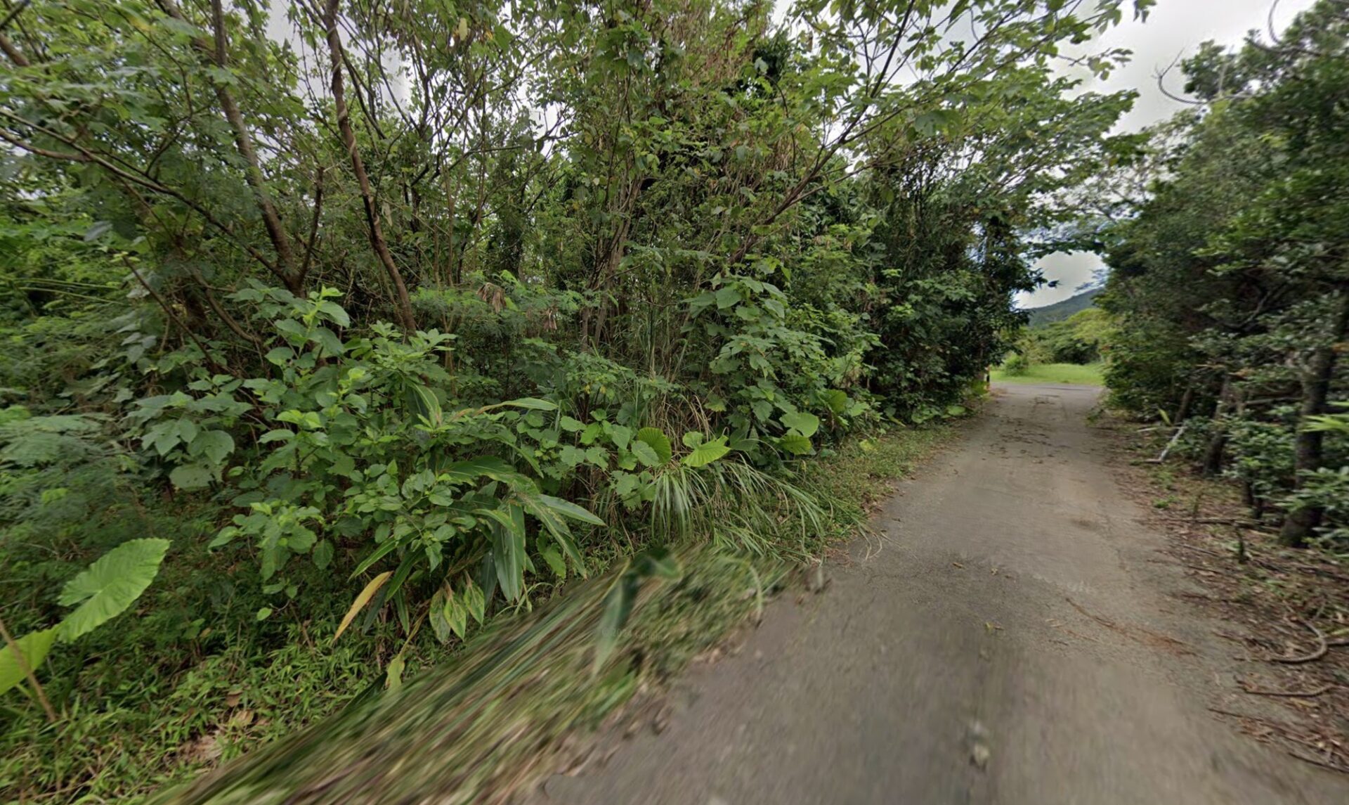 石垣市野底の兼城公民館近く　227坪