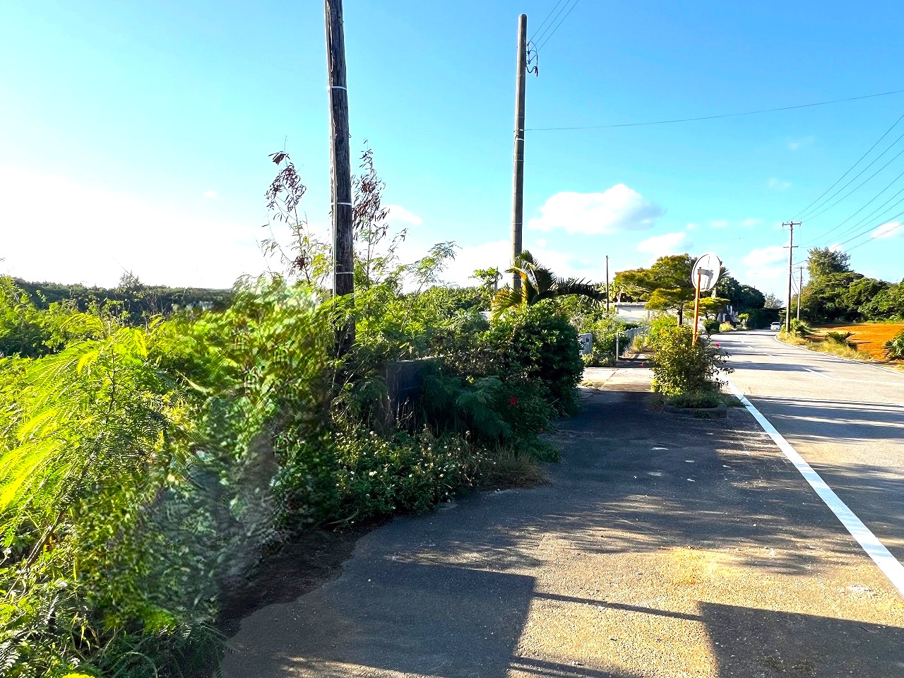 伊良部国仲　海峡に面した土地　710坪　原野
