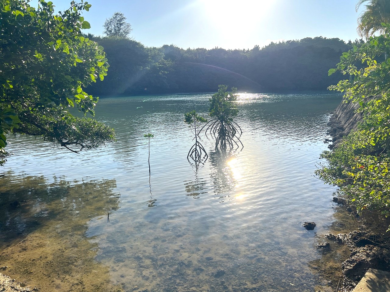 伊良部国仲　海峡に面した土地　710坪　原野
