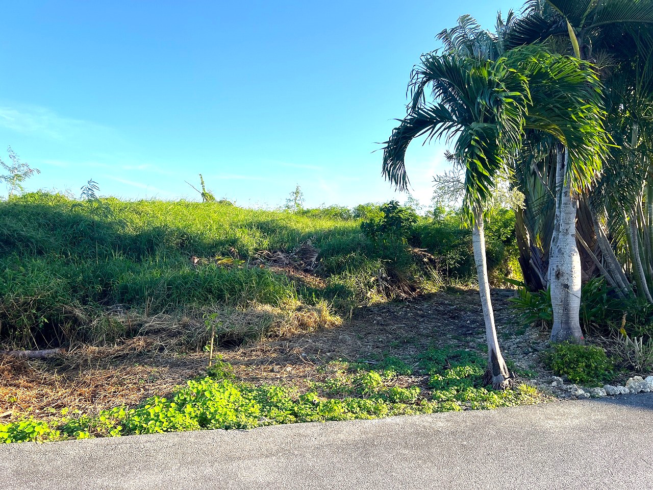 伊良部国仲　海峡に面した土地　710坪　原野