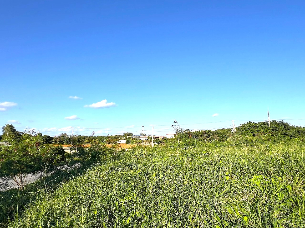 伊良部国仲　海峡に面した土地　710坪　原野