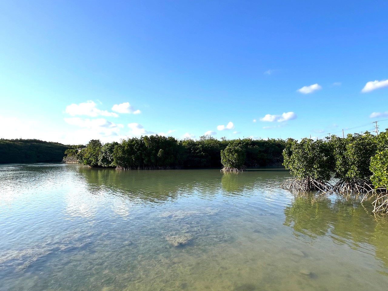 伊良部国仲　海峡に面した土地　710坪　原野