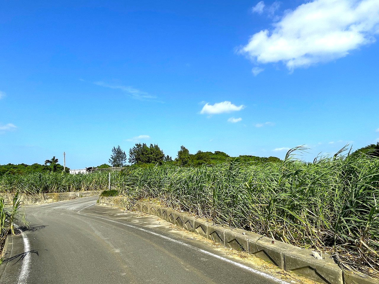 平良東仲宗根添　宮原公園近く　5104坪　畑　