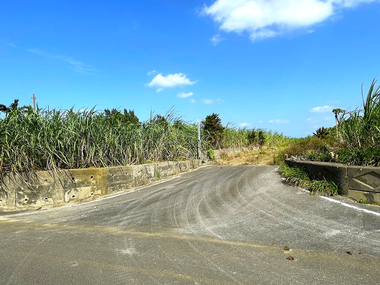 平良東仲宗根添　宮原公園近く　5104坪　畑　