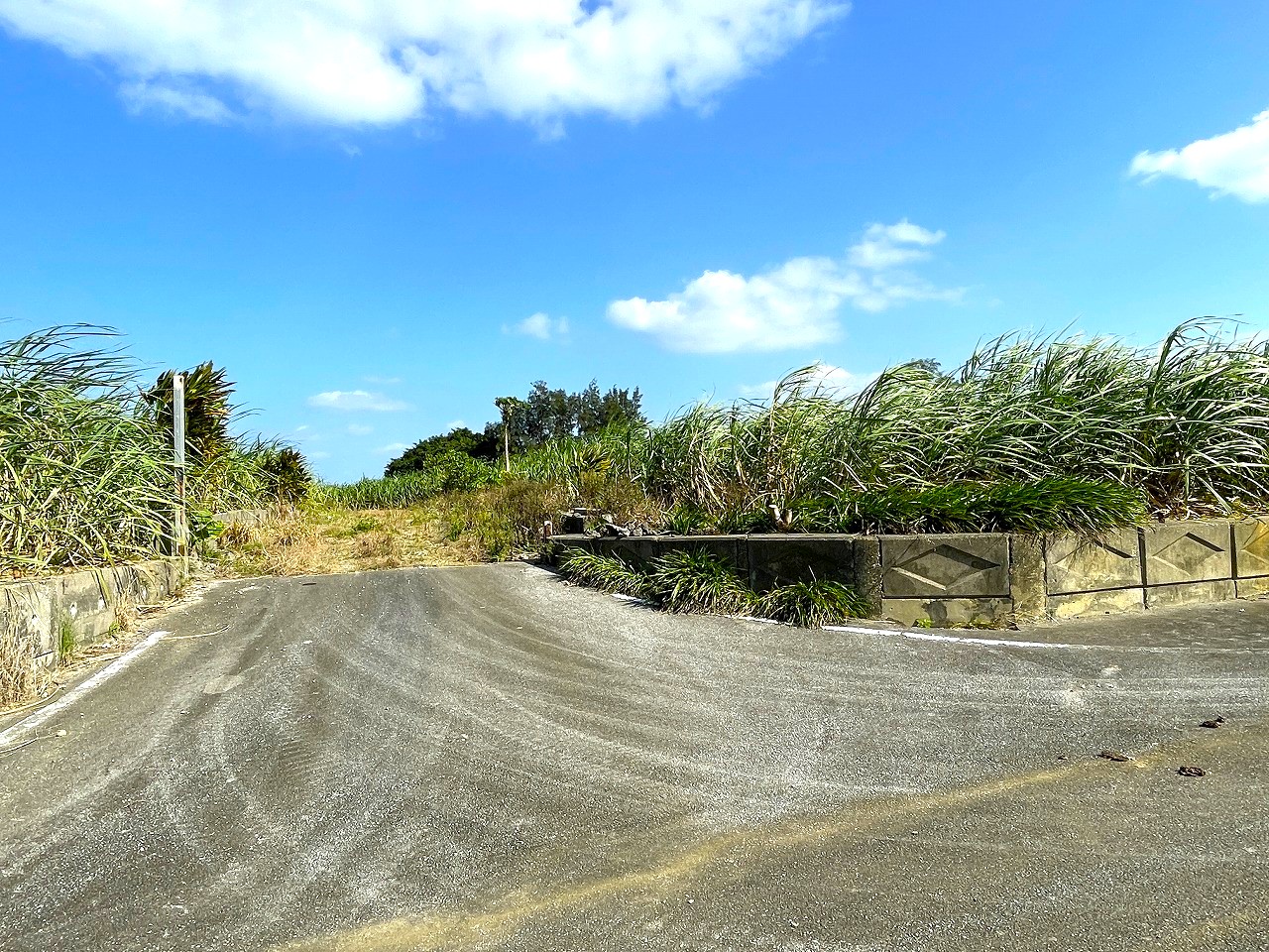 平良東仲宗根添　宮原公園近く　5104坪　畑　