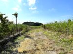 平良東仲宗根添 宮原公園近く 5104坪 畑