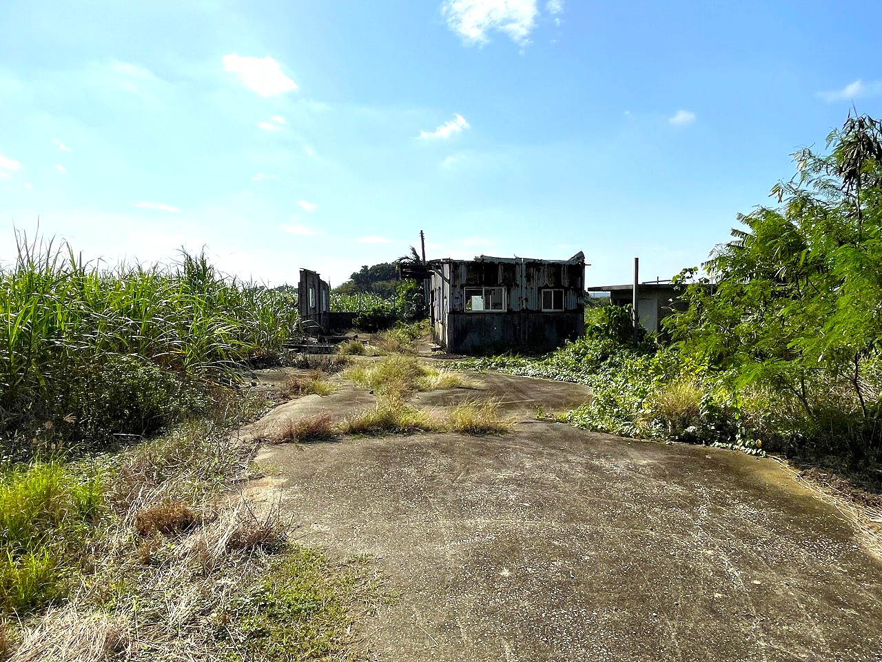 平良東仲宗根添　宮原公園近く　5104坪　畑　