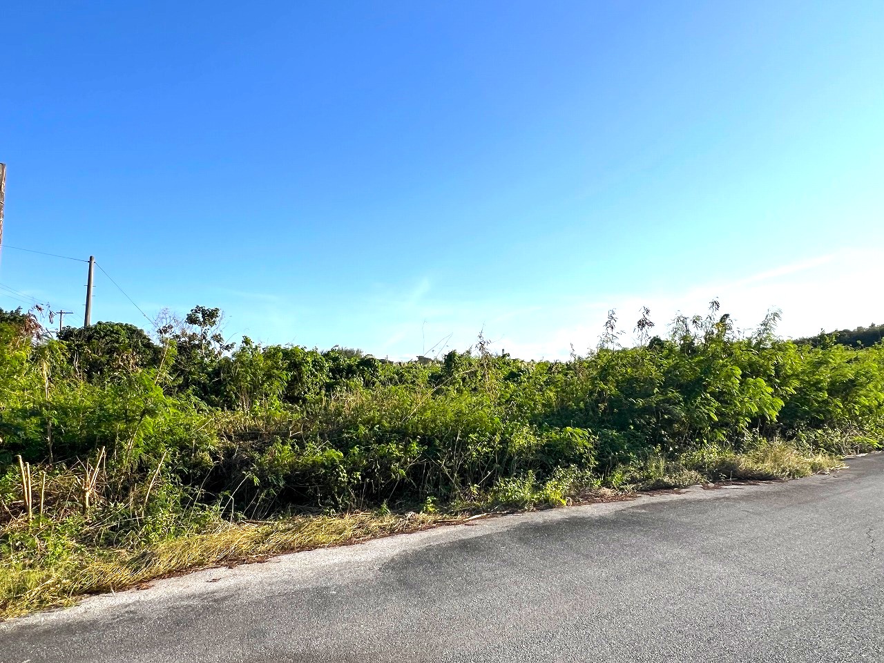 伊良部国仲　海峡に面した土地　710坪　原野