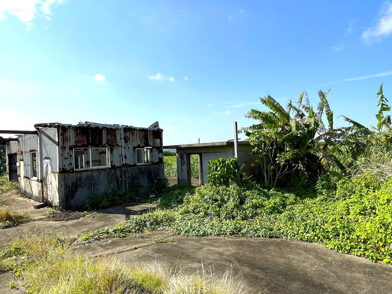 平良東仲宗根添　宮原公園近く　5104坪　畑　