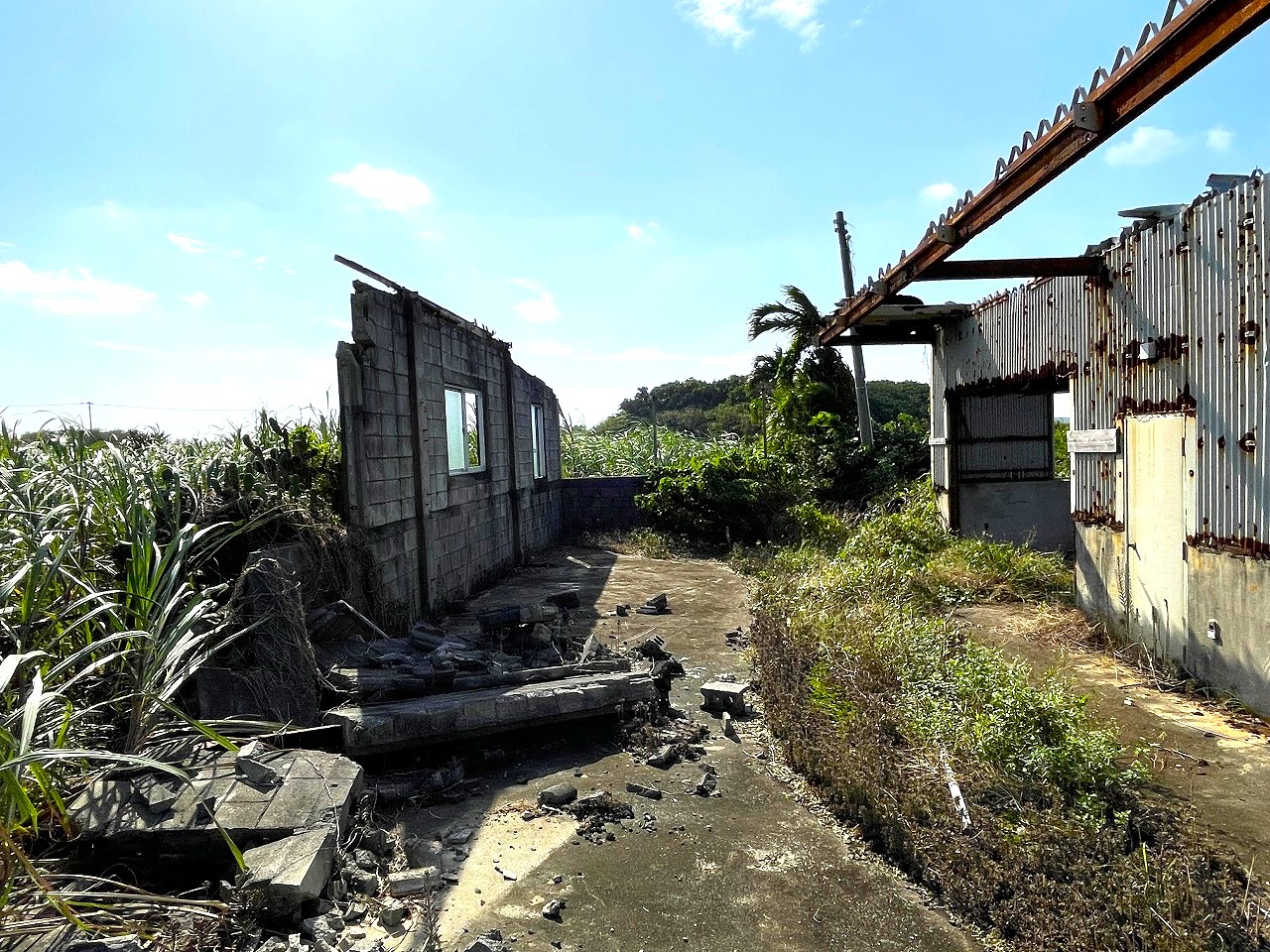 平良東仲宗根添　宮原公園近く　5104坪　畑　