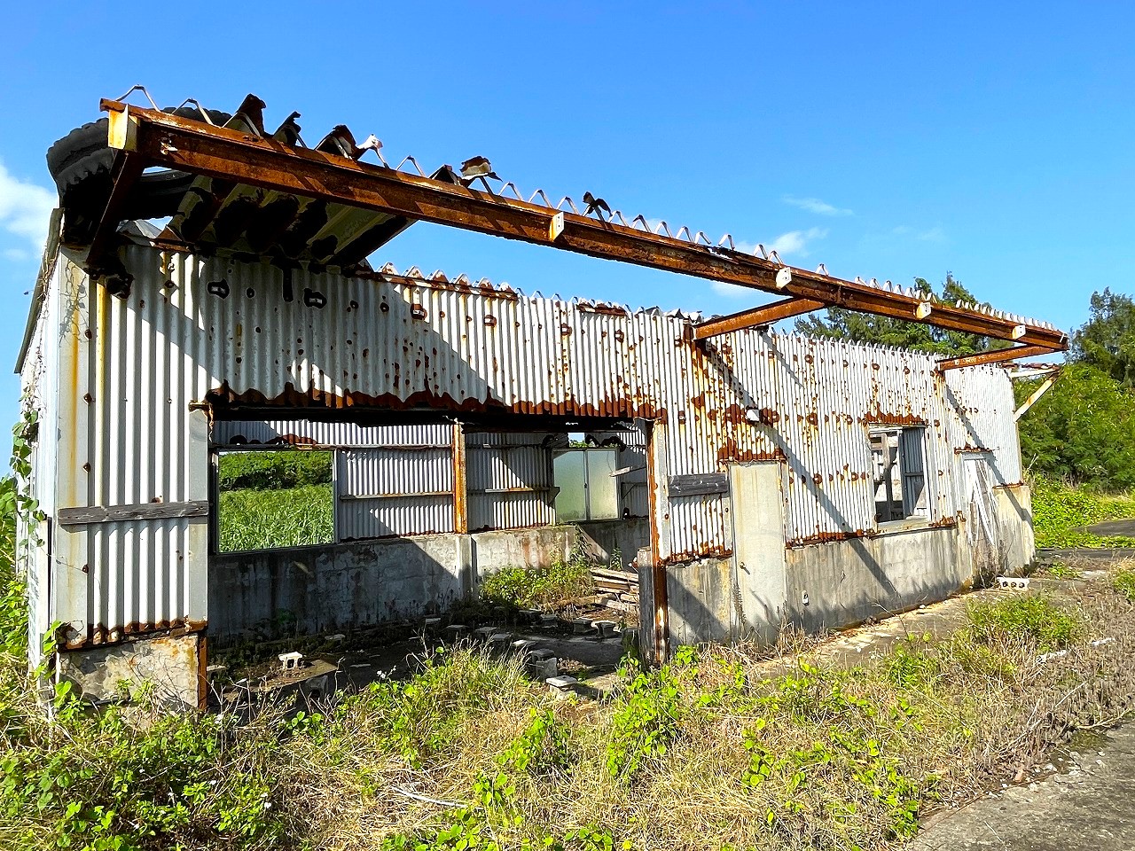 平良東仲宗根添　宮原公園近く　5104坪　畑　
