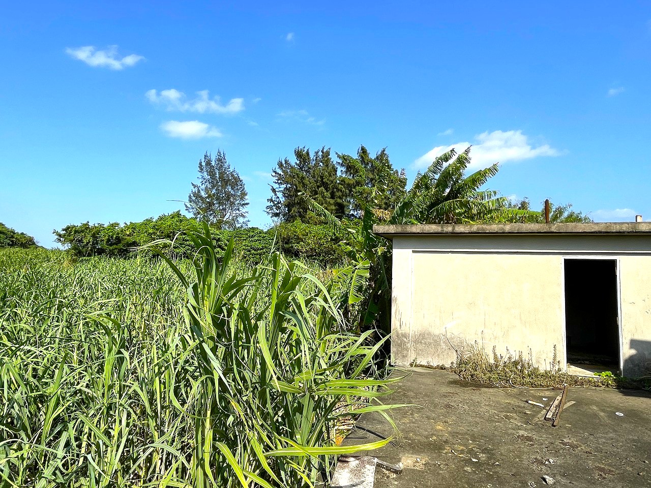 平良東仲宗根添　宮原公園近く　5104坪　畑　