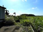 平良東仲宗根添 宮原公園近く 5104坪 畑