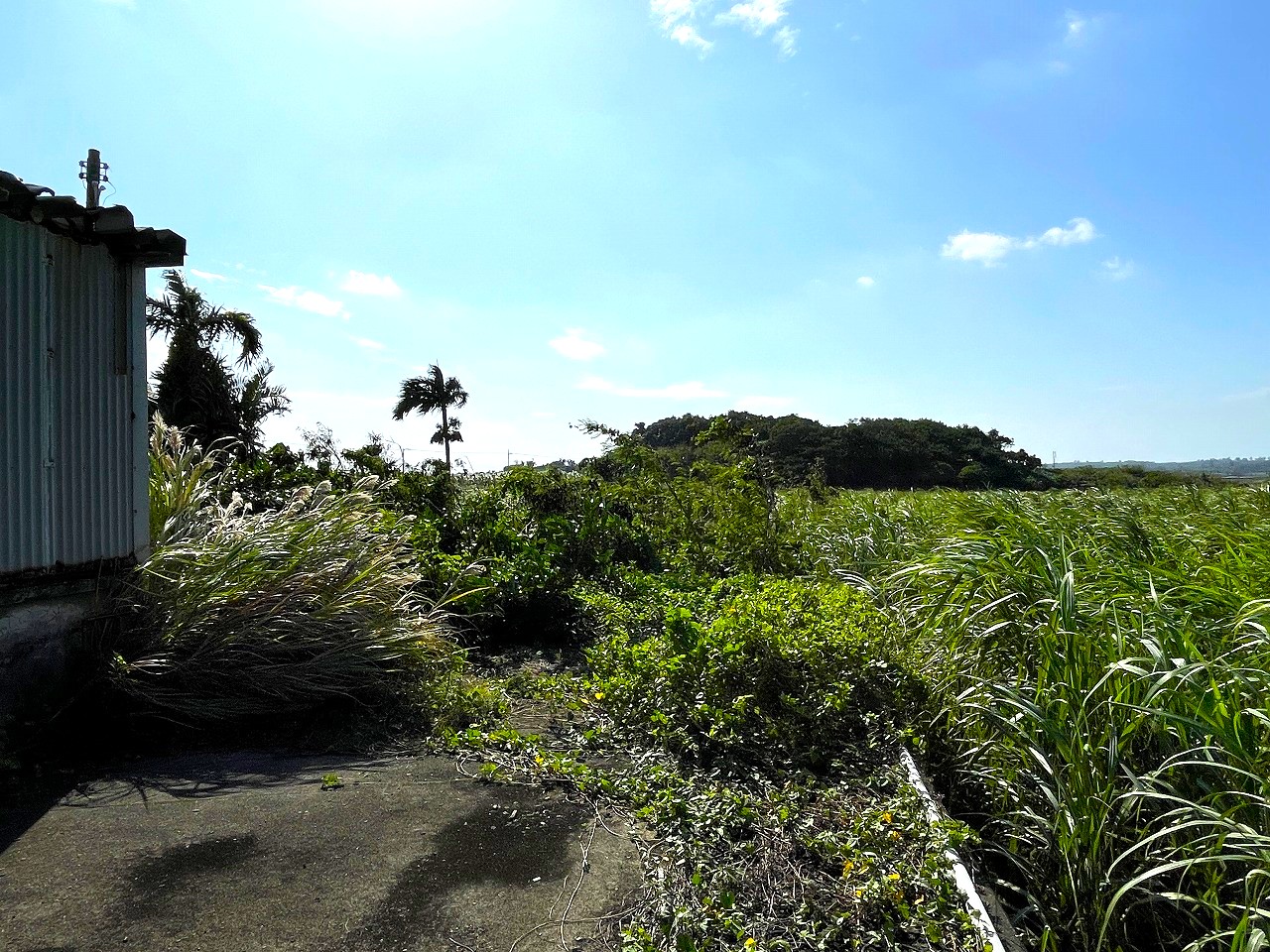 平良東仲宗根添　宮原公園近く　5104坪　畑　