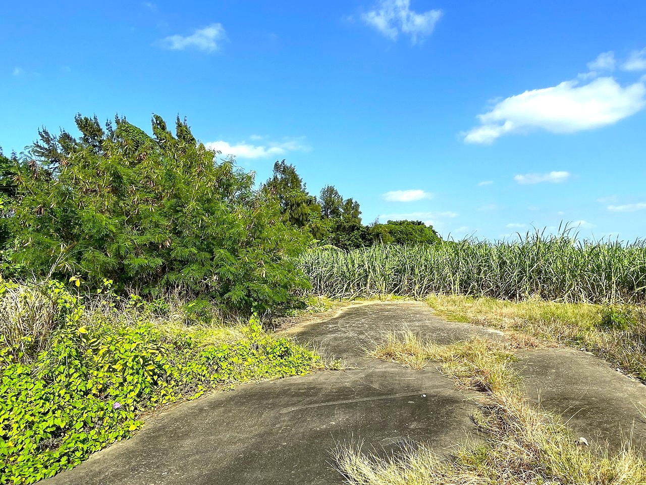 平良東仲宗根添　宮原公園近く　5104坪　畑　