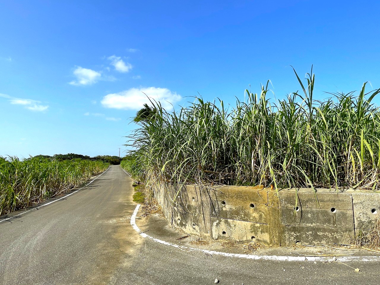 平良東仲宗根添　宮原公園近く　5104坪　畑　