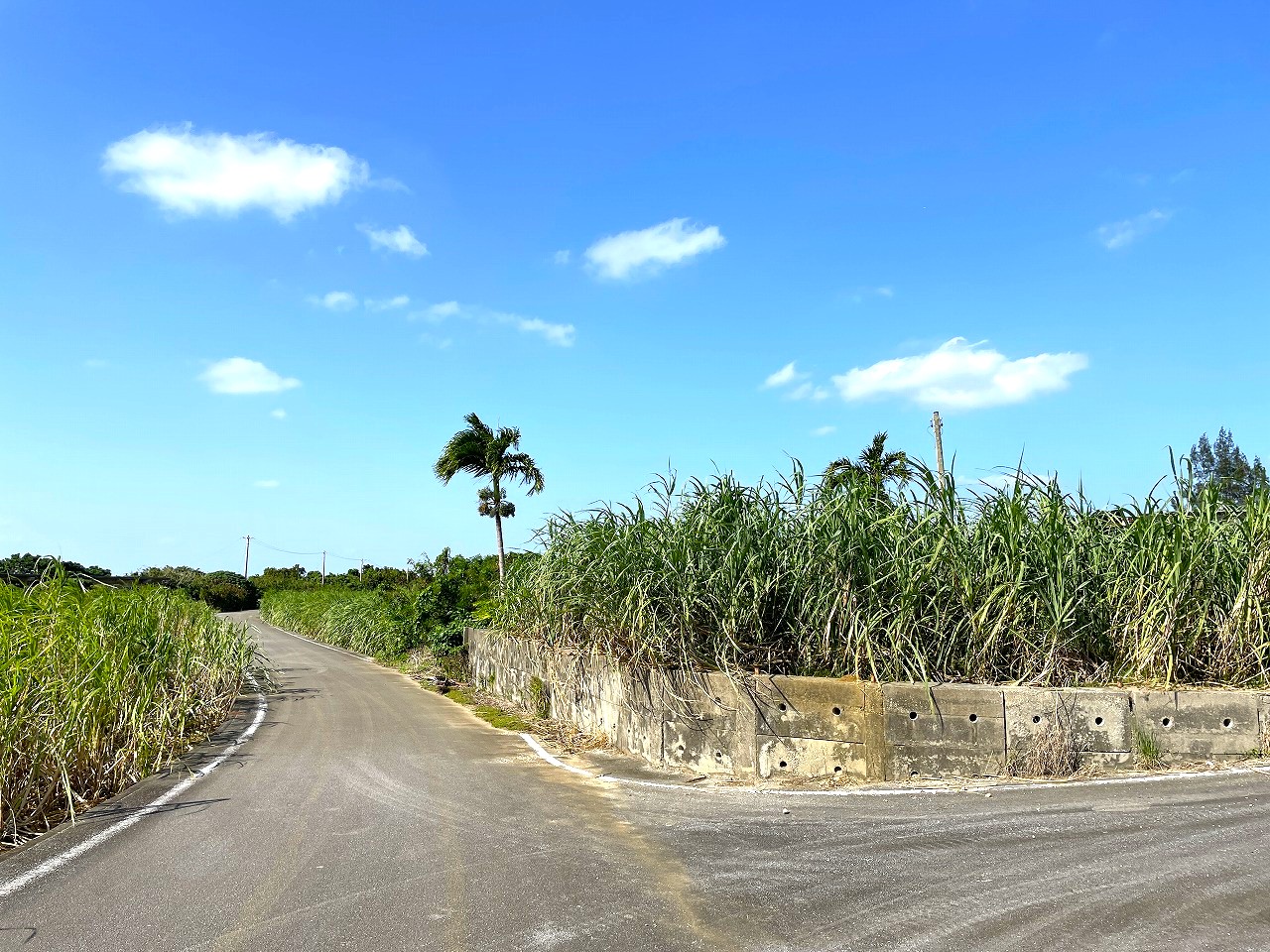 平良東仲宗根添　宮原公園近く　5104坪　畑　