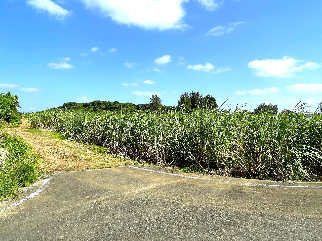 平良東仲宗根添　宮原公園近く　5104坪　畑　