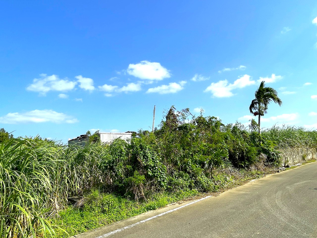 平良東仲宗根添　宮原公園近く　5104坪　畑　
