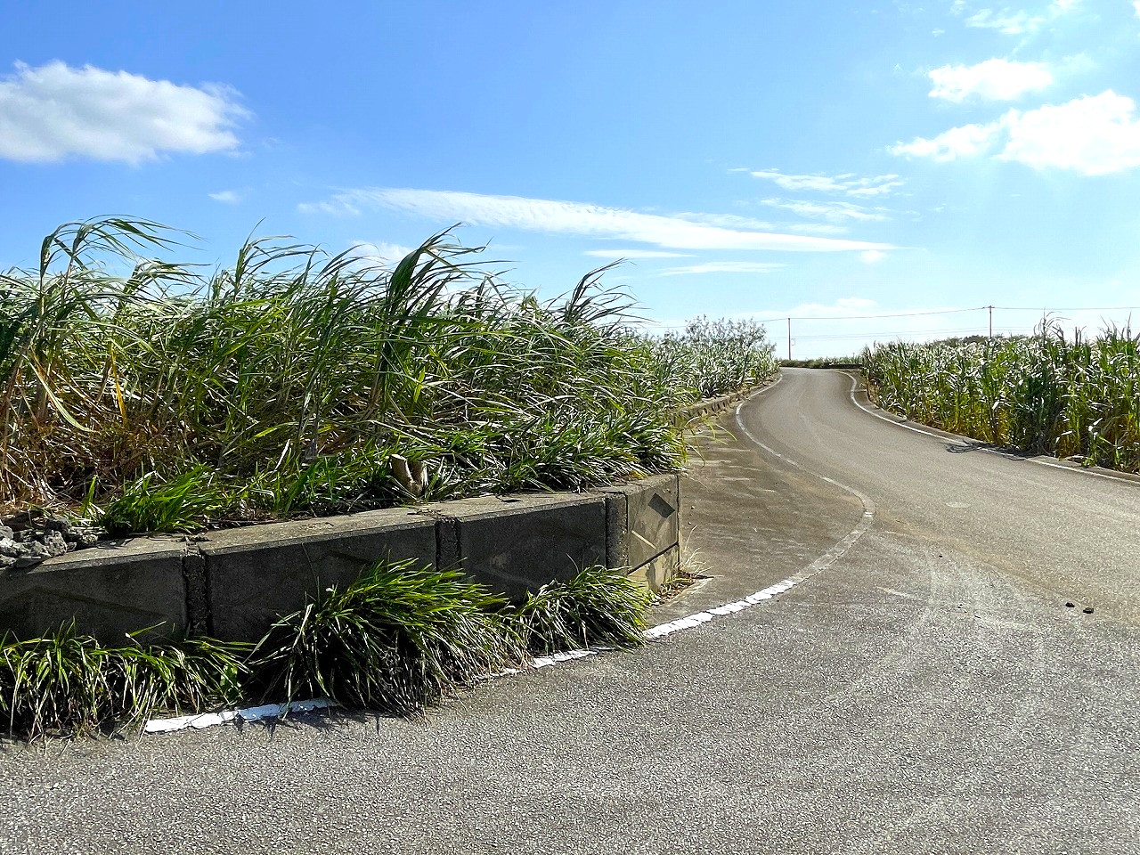 平良東仲宗根添　宮原公園近く　5104坪　畑　