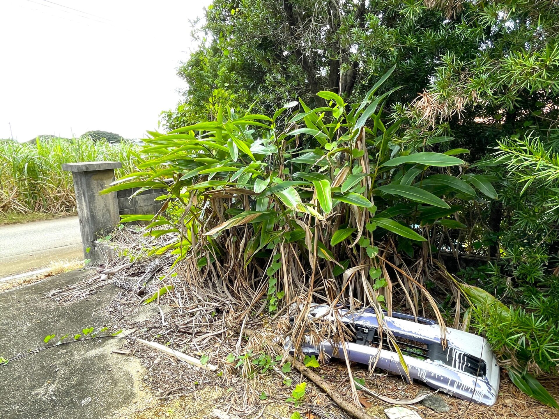 下地嘉手苅　市営団地近くの市道沿い　未登記古家あり　157坪　宅地