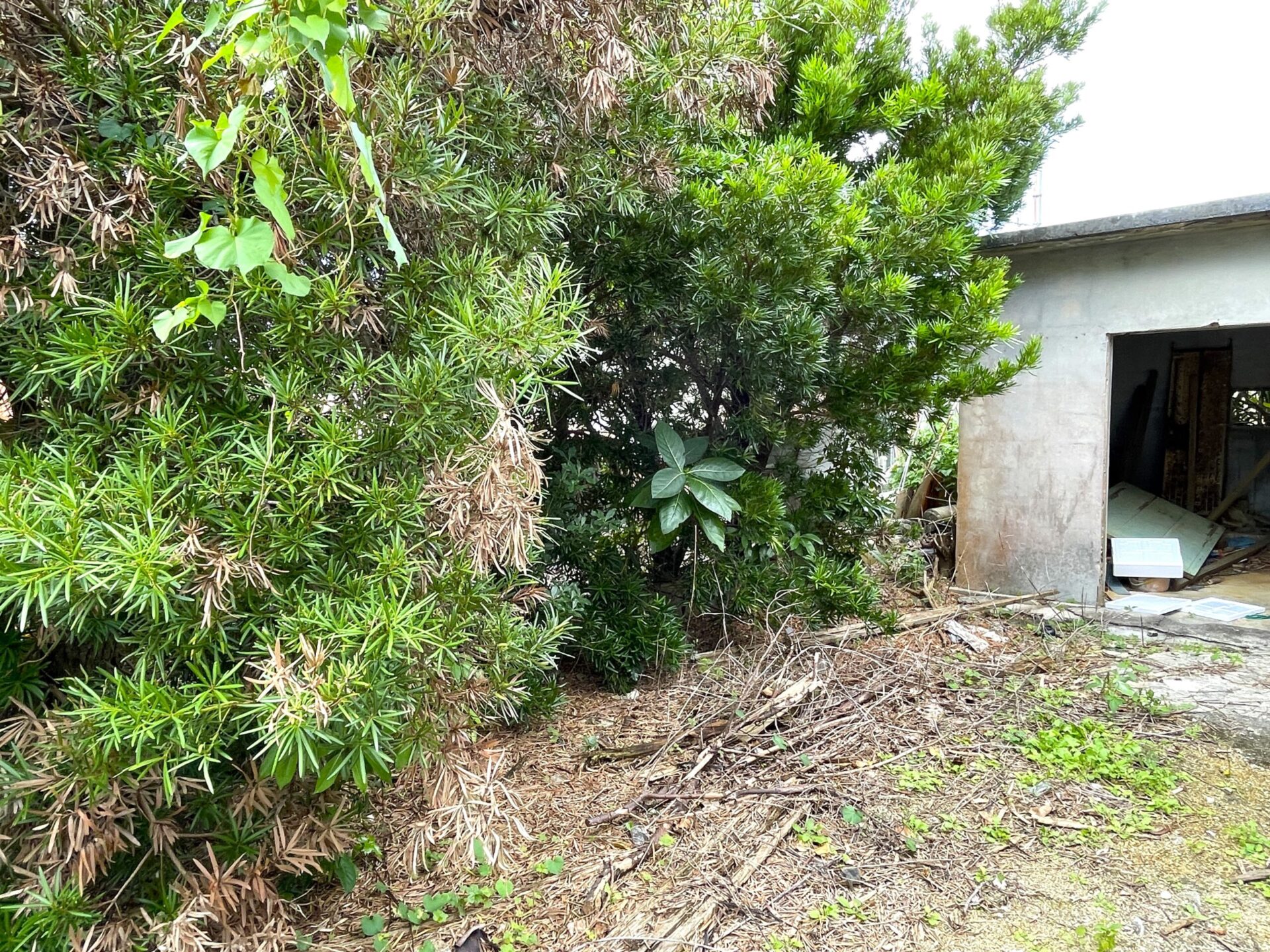 下地嘉手苅　市営団地近くの市道沿い　未登記古家あり　157坪　宅地