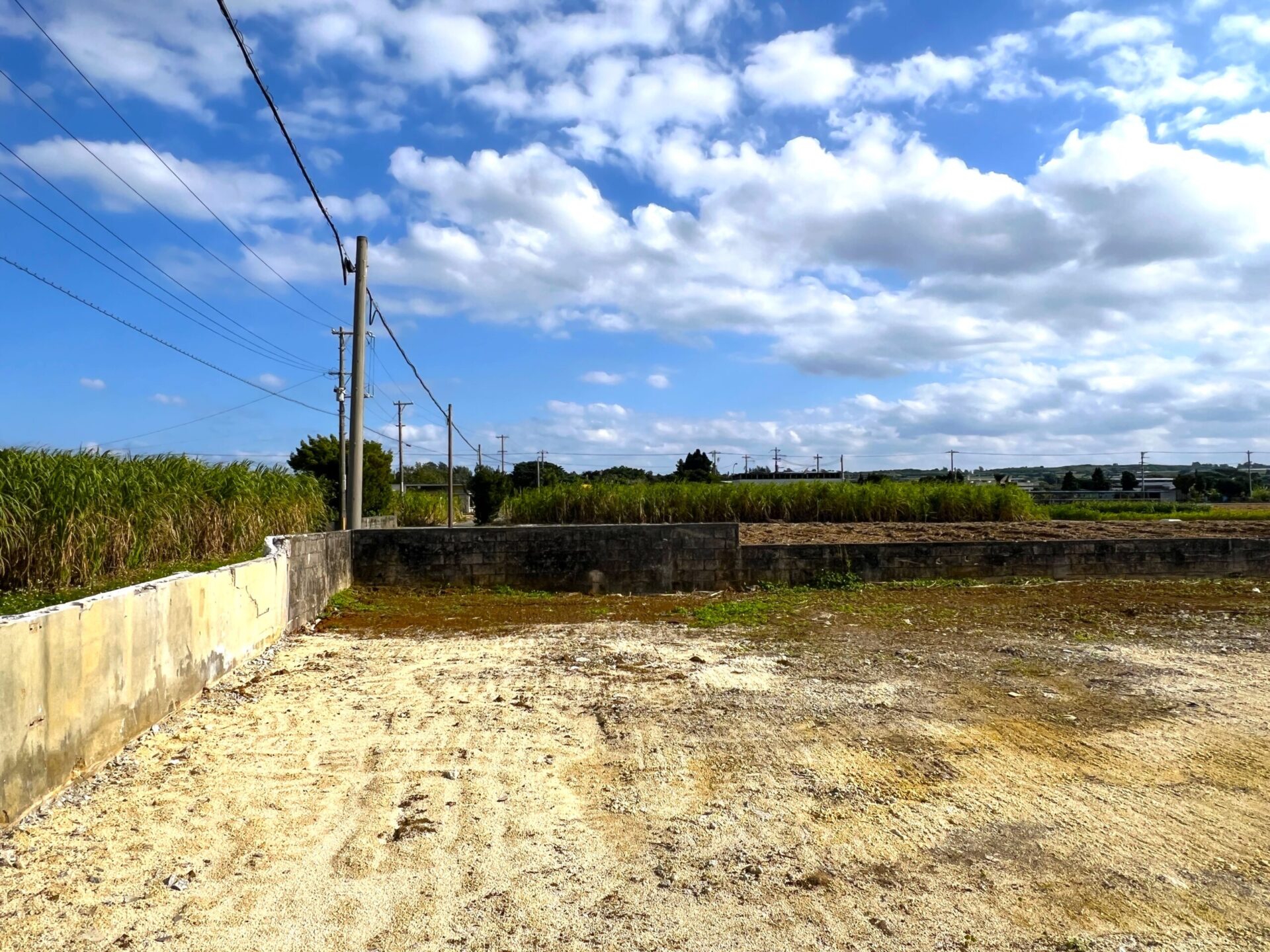 城辺下里添　上野公民館近く角地　124坪　宅地