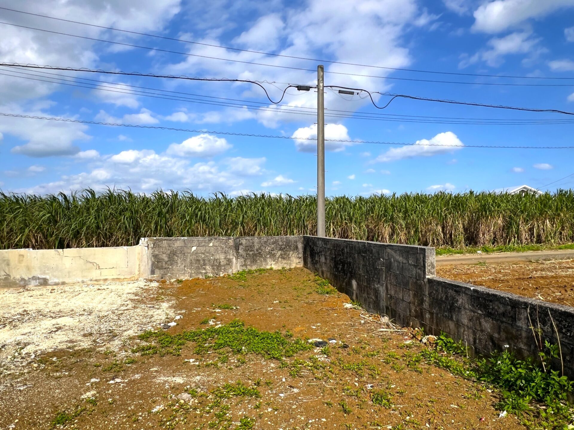 城辺下里添　上野公民館近く角地　124坪　宅地