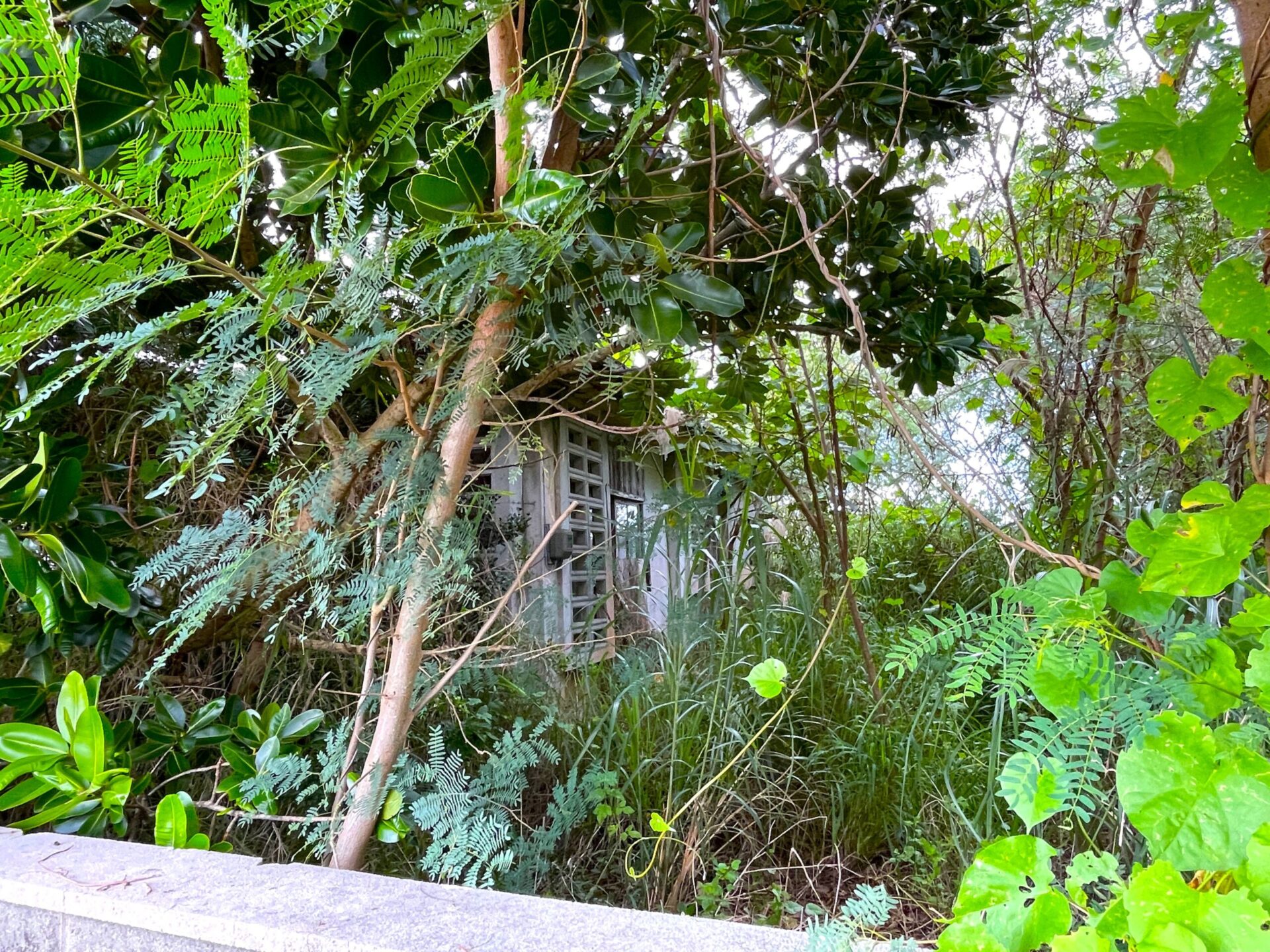 下地嘉手苅　市営団地近くの市道沿い　未登記古家あり　157坪　宅地