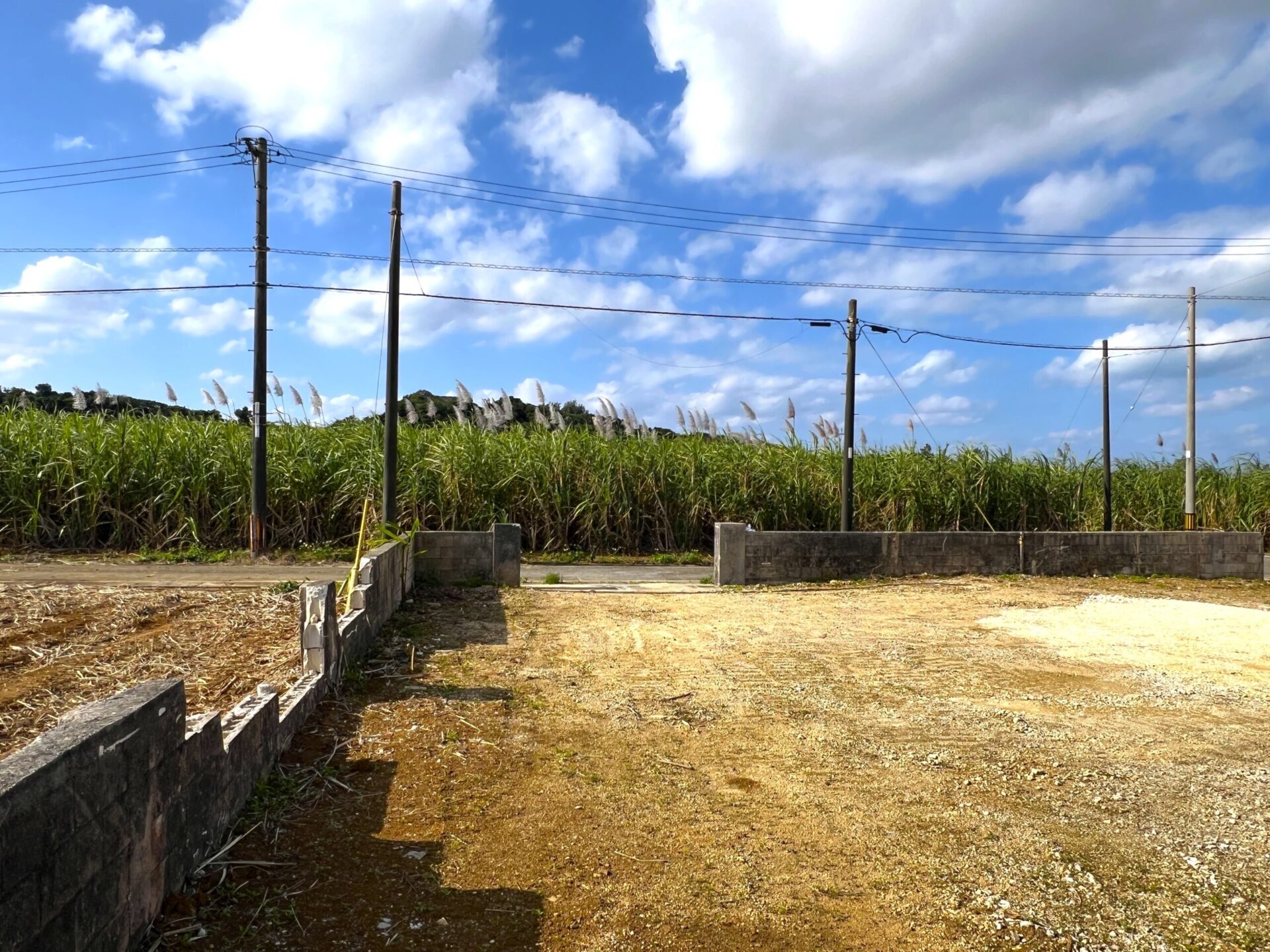 城辺下里添　上野公民館近く角地　124坪　宅地