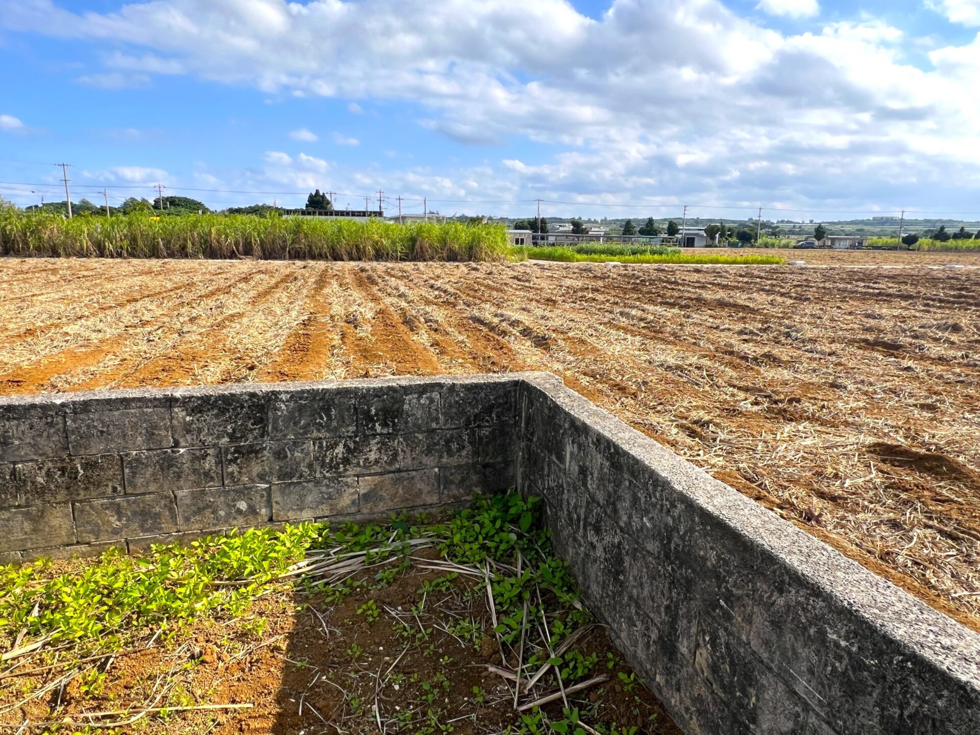 城辺下里添　上野公民館近く角地　124坪　宅地
