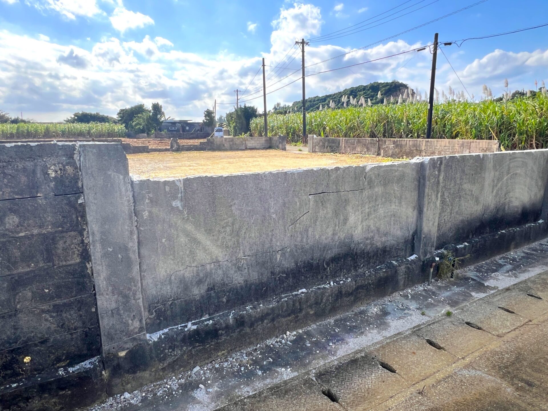 城辺下里添　上野公民館近く角地　124坪　宅地