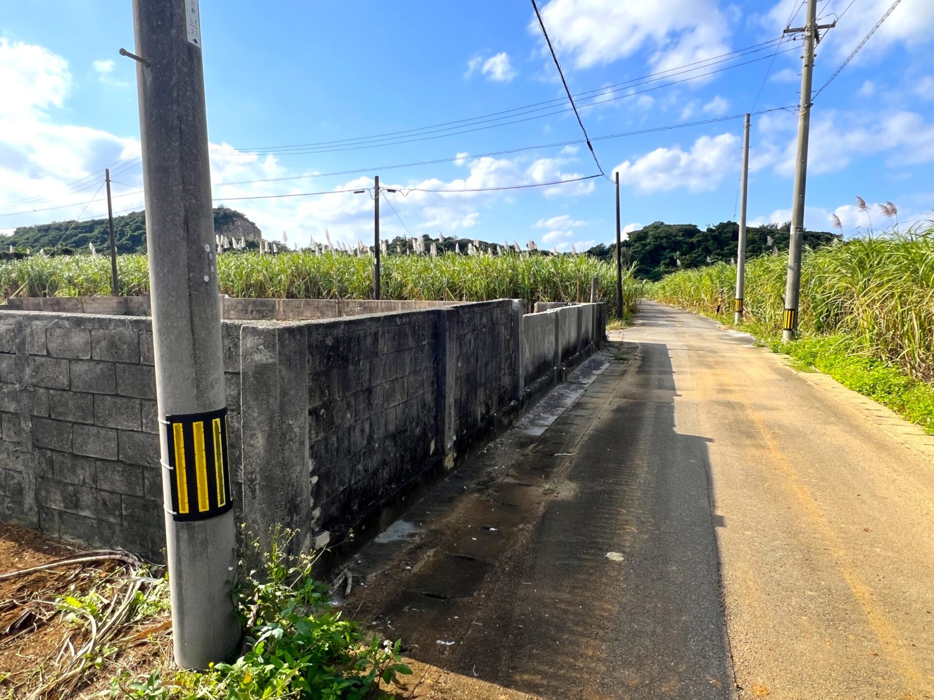 城辺下里添　上野公民館近く角地　124坪　宅地