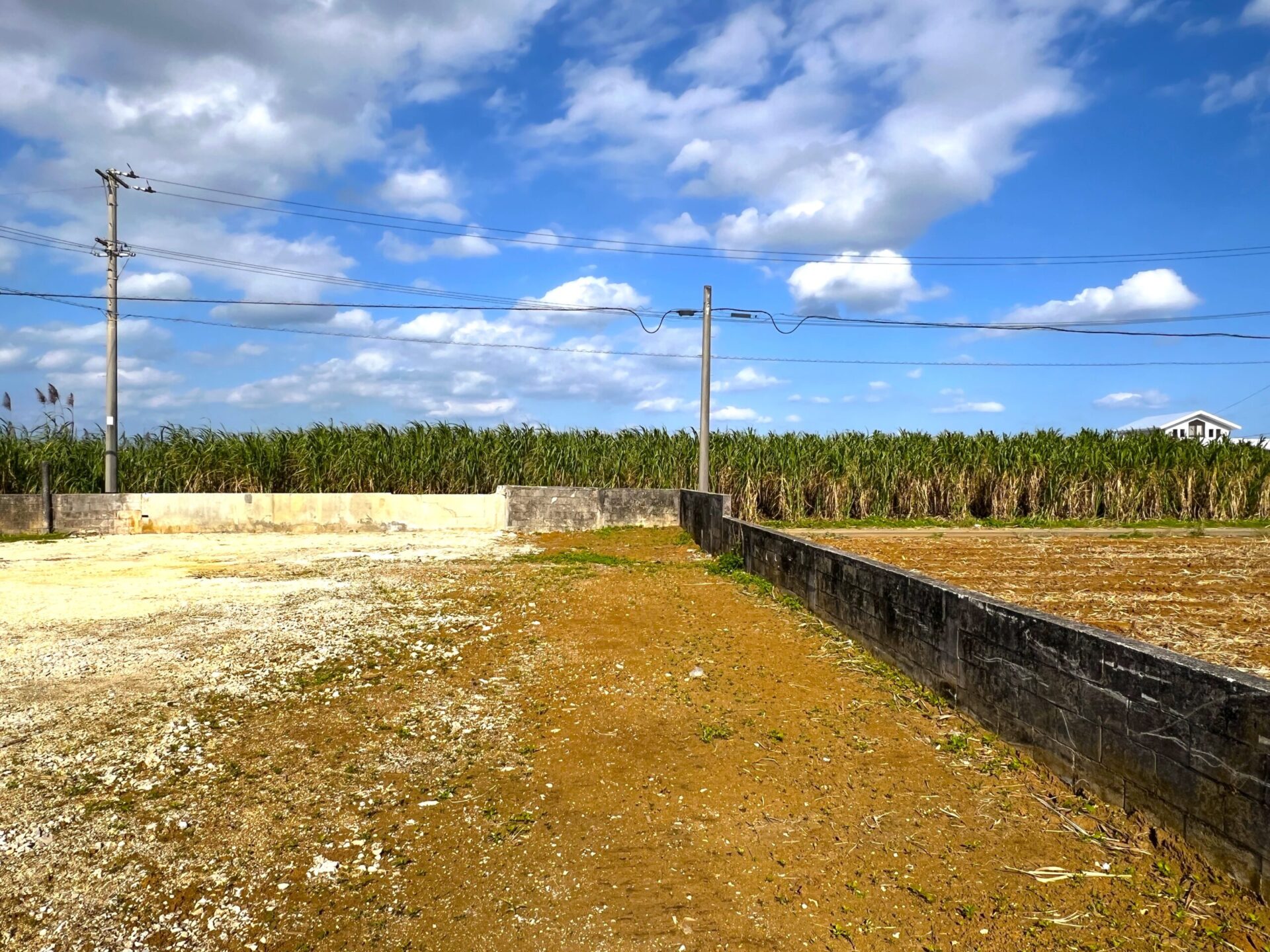 城辺下里添　上野公民館近く角地　124坪　宅地