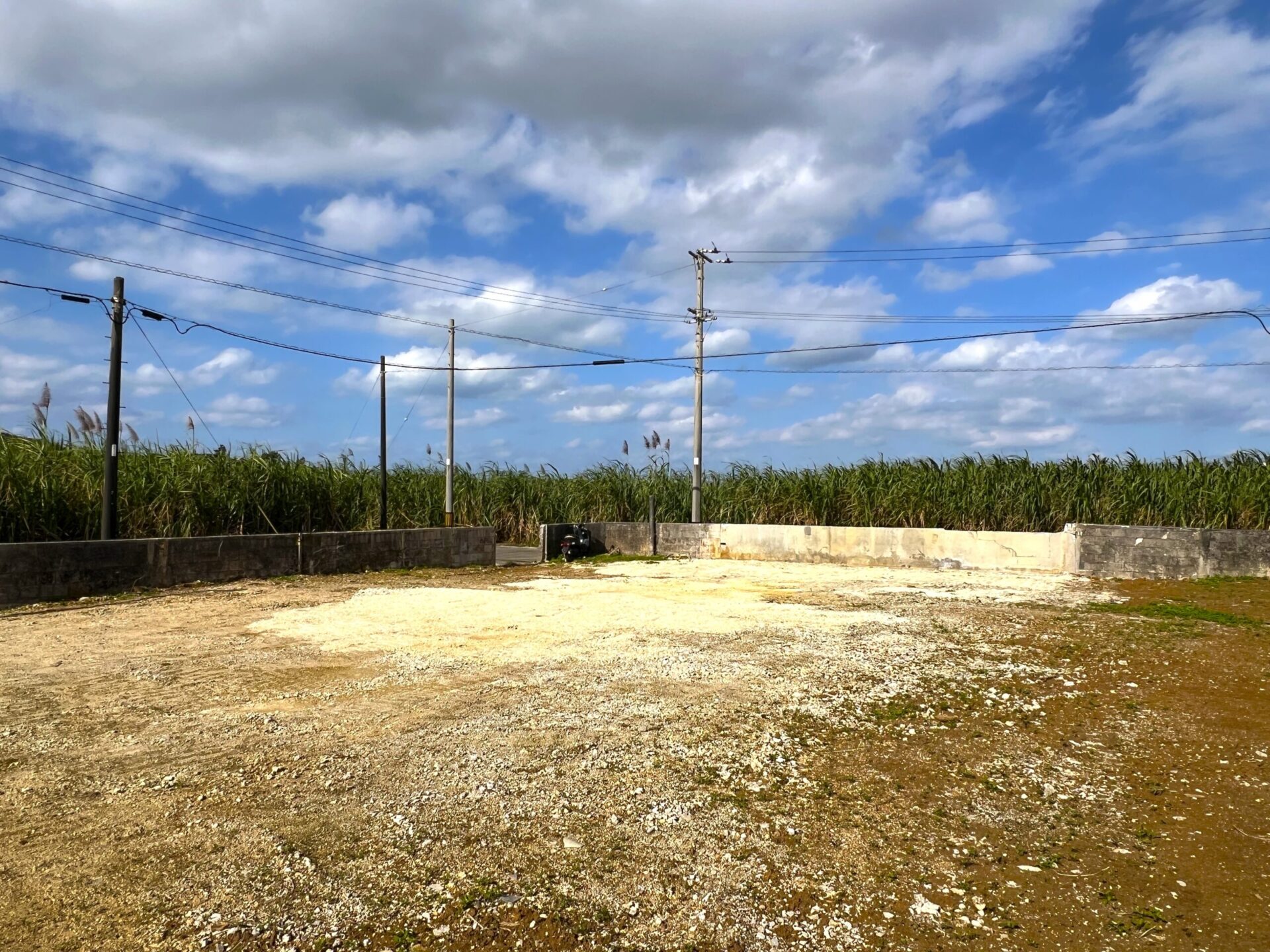城辺下里添　上野公民館近く角地　124坪　宅地