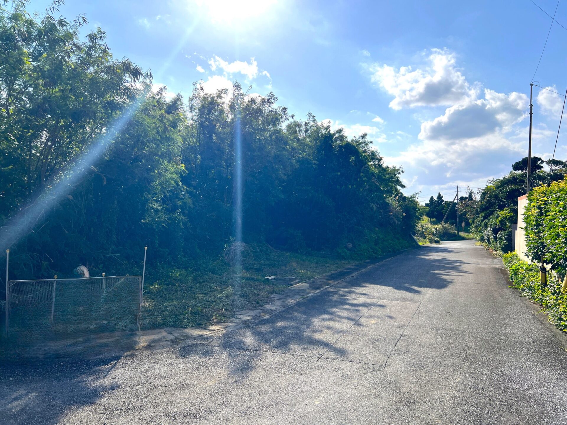 城辺友利 海と夕陽が見える高台　245坪　畑