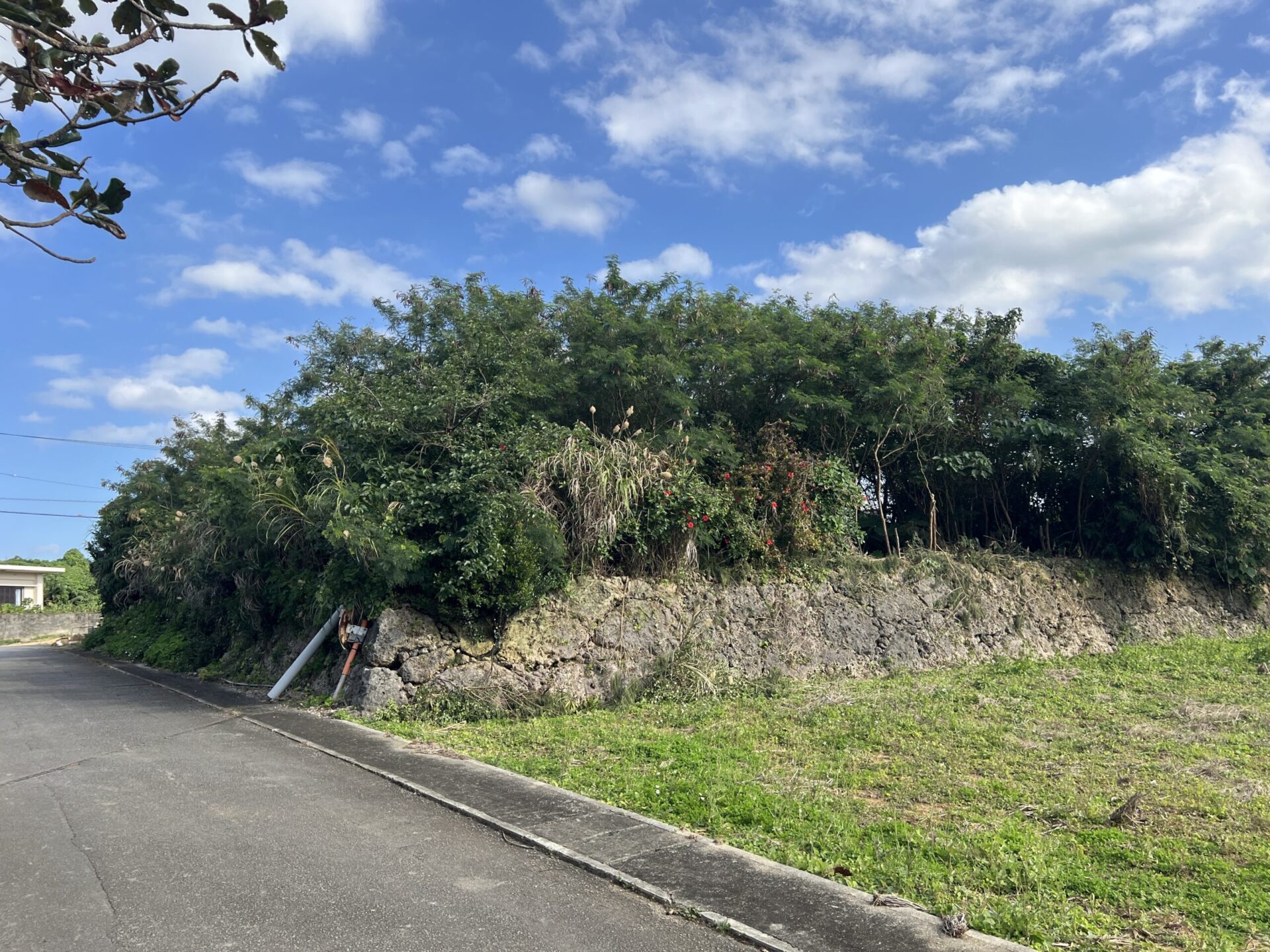 城辺友利 海と夕陽が見える高台　245坪　畑