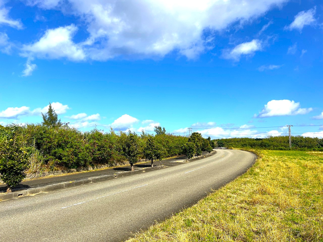 城辺長間 長北海岸近く県道83号線沿い 1639坪 原野（一部保安林）