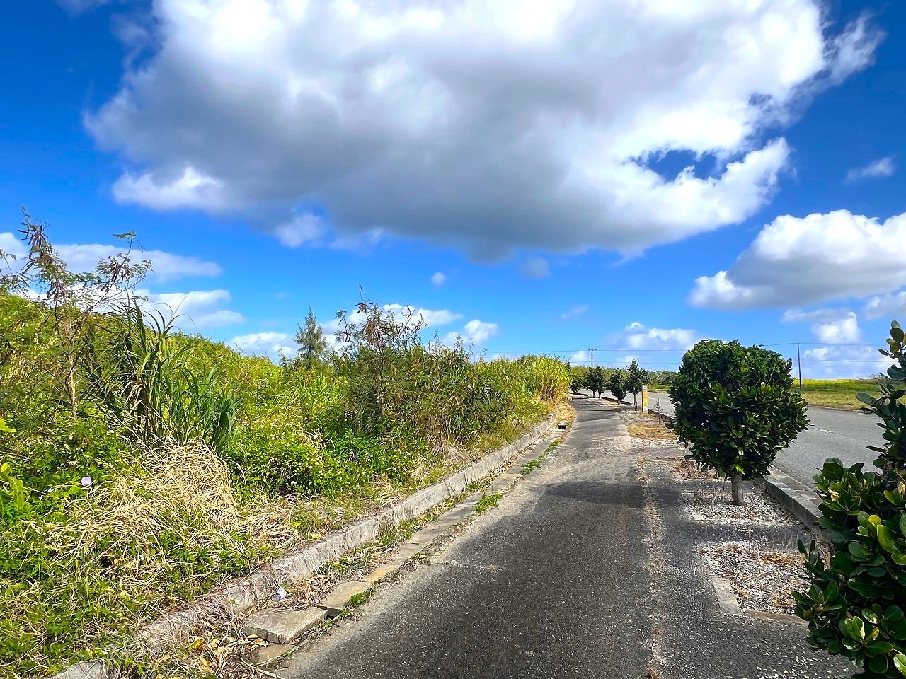 城辺長間 長北海岸近く県道83号線沿い 1639坪 原野（一部保安林）