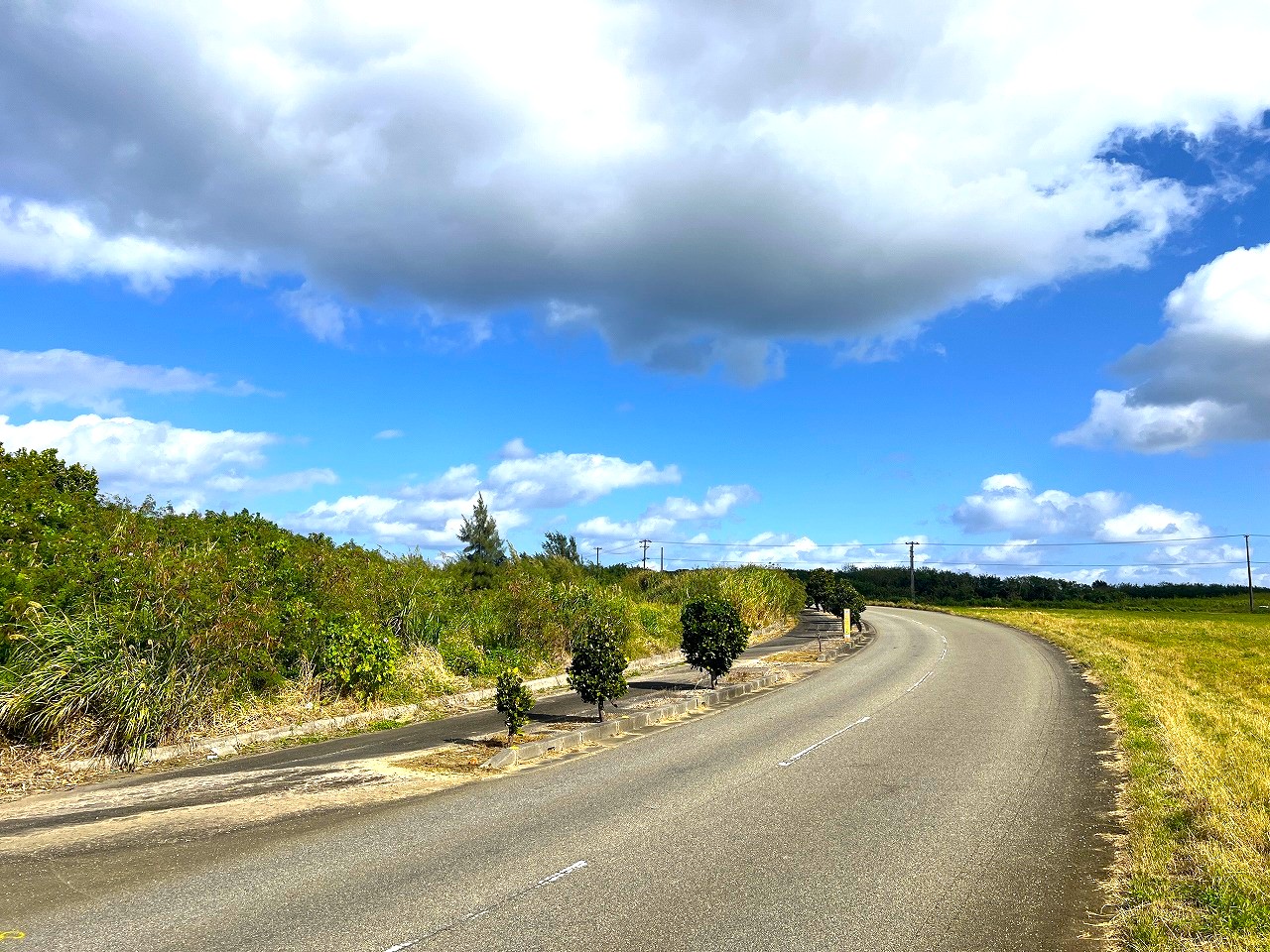 城辺長間 長北海岸近く県道83号線沿い 1639坪 原野（一部保安林）