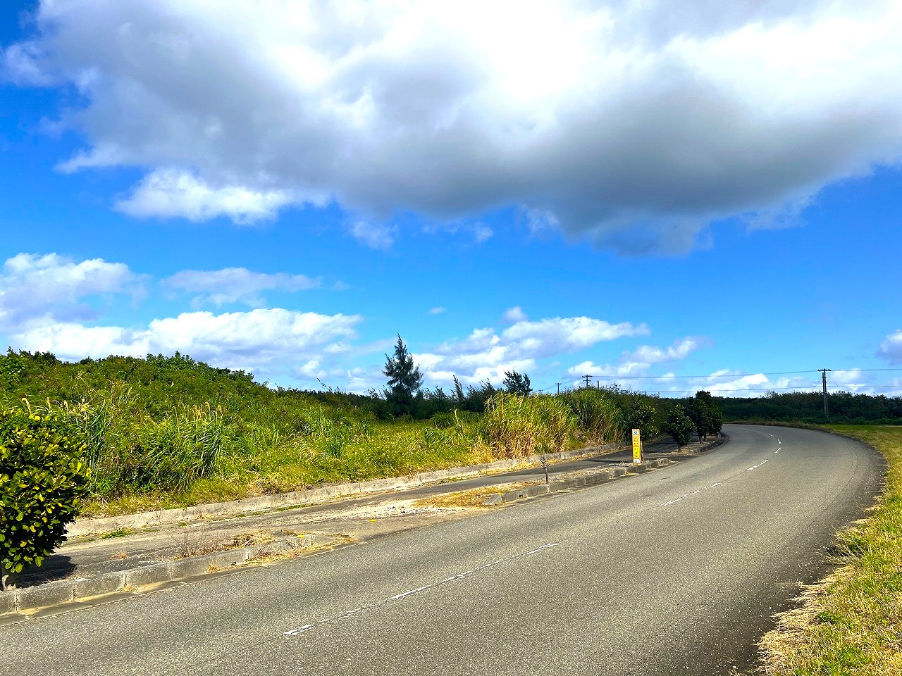 城辺長間 長北海岸近く県道83号線沿い 1639坪 原野（一部保安林）