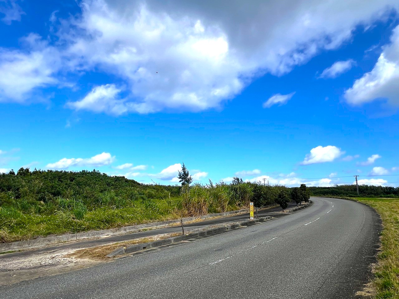城辺長間 長北海岸近く県道83号線沿い 1639坪 原野（一部保安林）