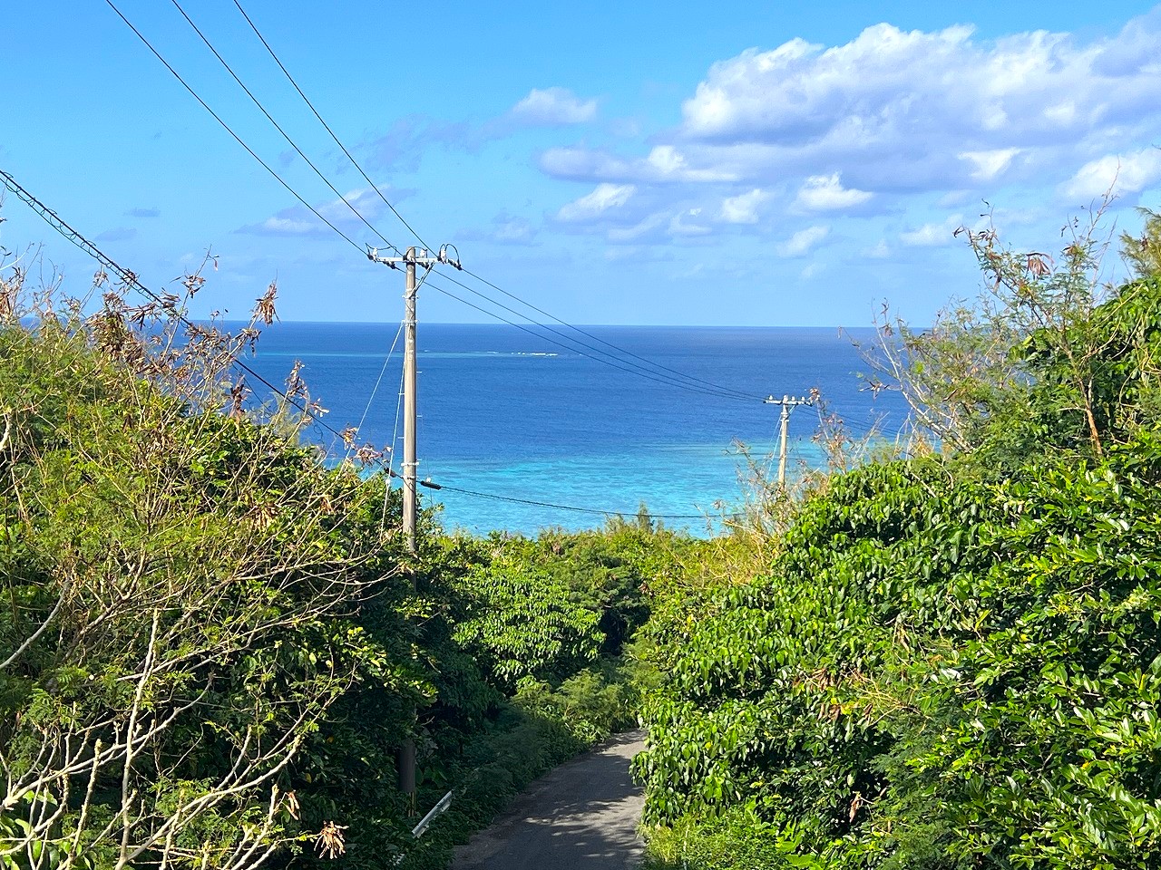 城辺長間 長北海岸近く県道83号線沿い 1639坪 原野（一部保安林）
