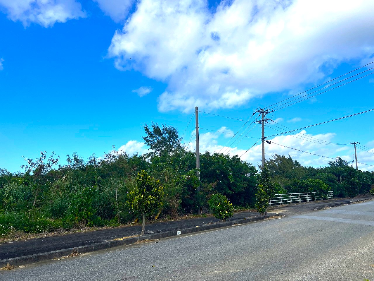 城辺長間 長北海岸近く県道83号線沿い 1639坪 原野（一部保安林）