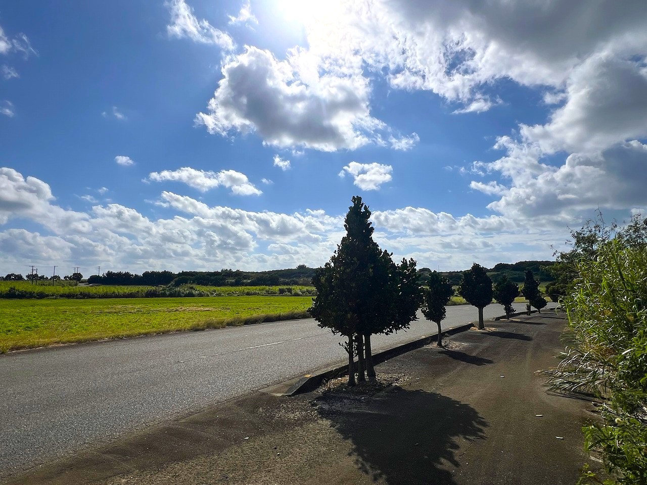 城辺長間 長北海岸近く県道83号線沿い 1639坪 原野（一部保安林）
