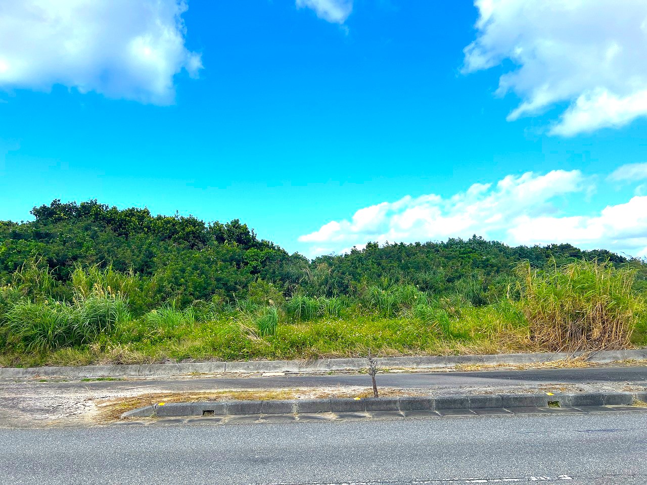 城辺長間 長北海岸近く県道83号線沿い 1639坪 原野（一部保安林）
