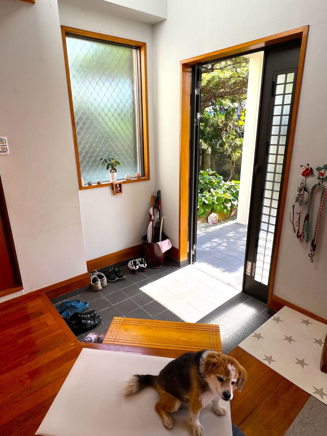 平良久貝　海を眺めるRCB造3LDK　建物52坪　土地188坪